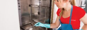 domestic dishwasher cleaning