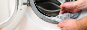 How to remove mould from a washing machine door seal